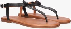 Zwarte Notre-v Sandalen 443017