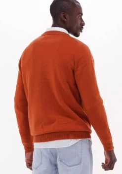 Bruine Selected Homme Trui Newcoban Lambs Wool Crew Neck W