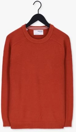 Bruine Selected Homme Trui Newcoban Lambs Wool Crew Neck W -Family Verkoop 227148 5