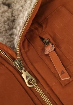 Bruine Ammehoela Am.remi.01