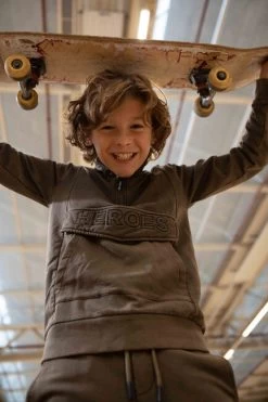 Grijze Common Heroes 2231-8329