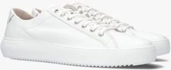 Witte Blackstone Lage Sneakers Morgan Low