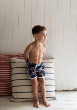 Grijze Koko Noko T46894