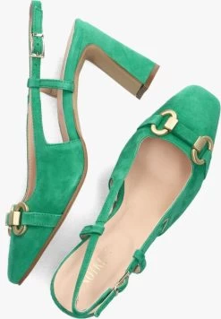 Groene Notre-v 51294 -Family Verkoop 252311 5